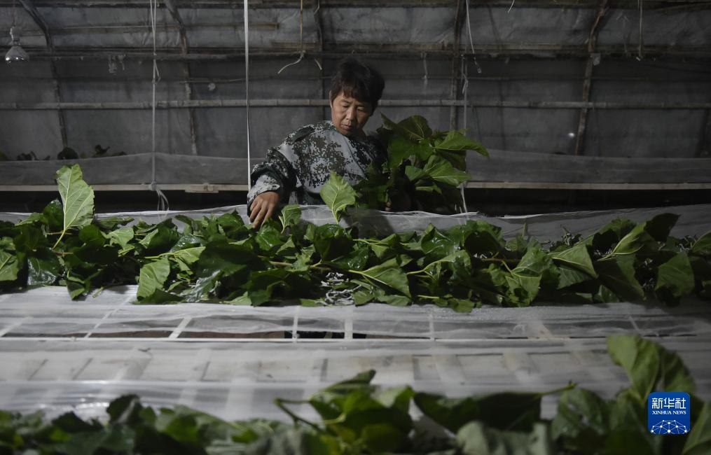 99玩游戏下载